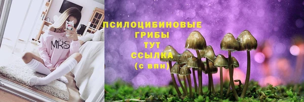 меф Алзамай