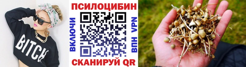 где купить наркоту Алушта Галлюциногенные грибы Magic Shrooms